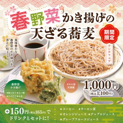 【期間限定】春野菜かき揚げの天ざる蕎麦