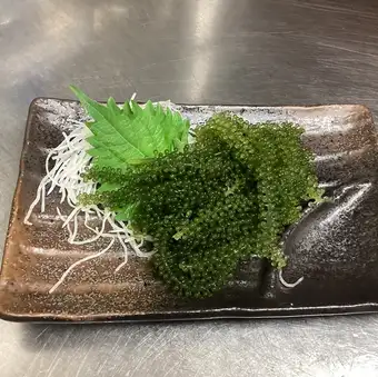 海葡萄