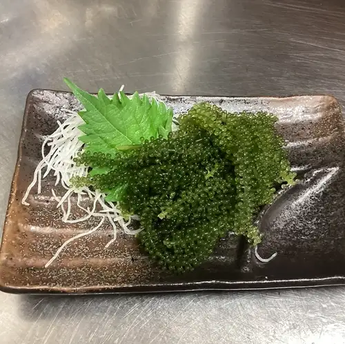 海葡萄