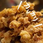 スパイシー鶏皮揚げ串(3本)