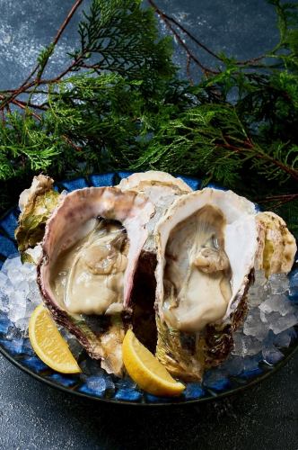 夏限定！！長島産岩牡蠣！