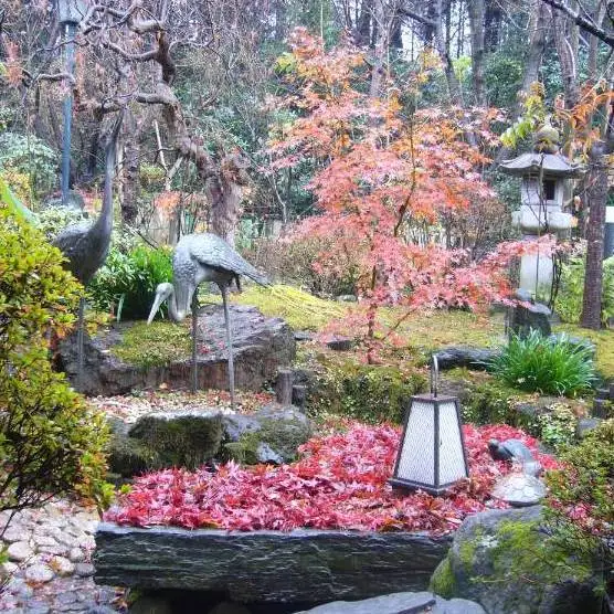 【春夏秋冬それぞれの楽しみ方を】桜茶屋の自慢の一つ。お庭は季節によって風景がガラッと変わり、いつお越しいただいてもお楽しみいただけます。板前が心を込めたお料理で和やかな集いのひとときを演出いたします。家族みんなで過ごす特別なひとときを、美しい庭園を眺めながら美味しいお料理をお召し上がりくださいませ。