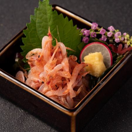 Jewel of Suruga Bay Raw Sakura Shrimp