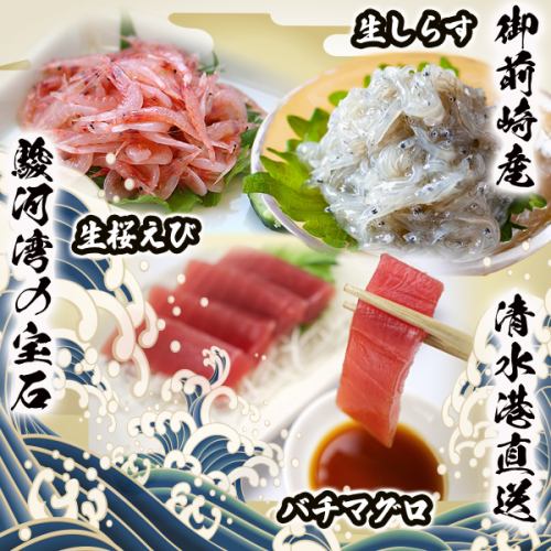 시즈오카 현산 직송 생선을 즐길 수 있습니다!