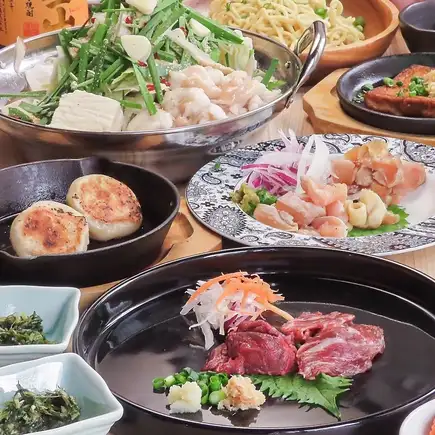 包含來自熊本的馬肉刺身在內的十道菜套餐！可選九州黑毛和牛以及內臟火鍋！暢飲無限！ ★5500日元