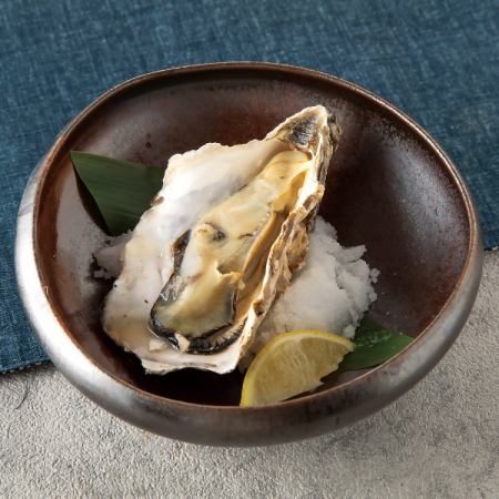 Today's grilled oysters