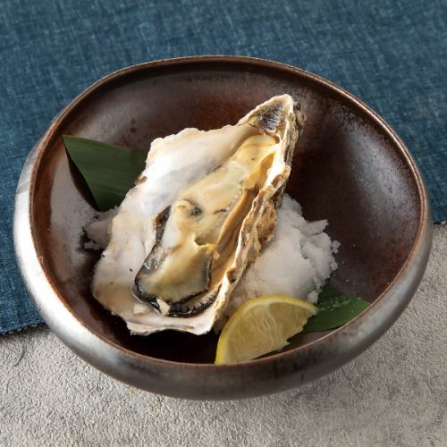 Today's grilled oysters