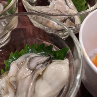 2. 季节限定 含牡蛎（烹煮用）鰤鱼涮锅套餐（鰤鱼刺身、鰤鱼涮锅、火锅牡蛎、乌冬面）