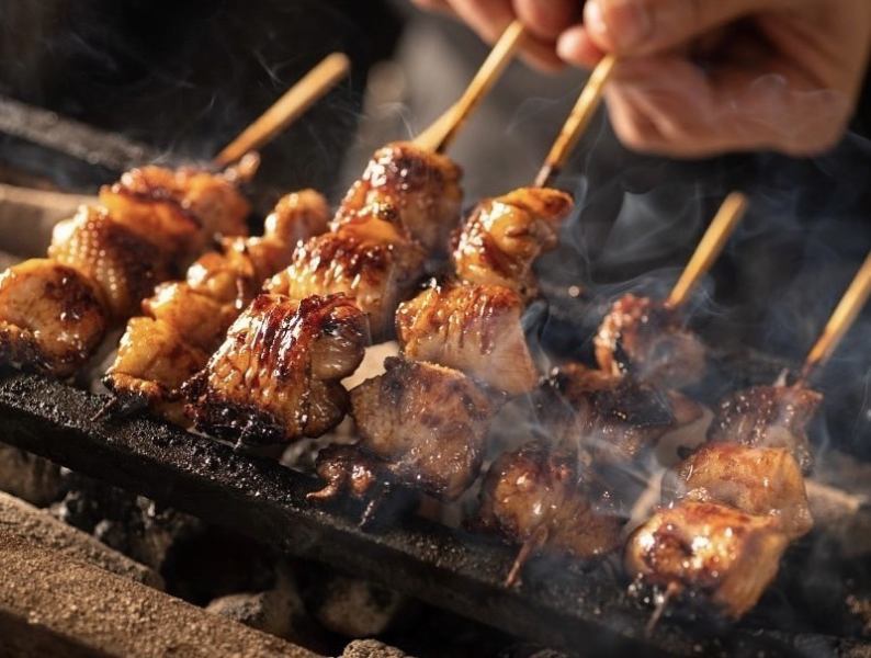 “우선 이것”저희 가게 자랑의 통통 야키토리를 맛볼 수 있다!