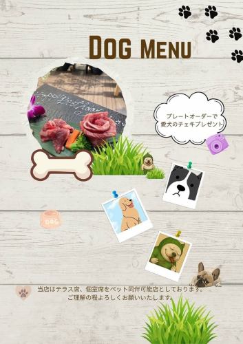プレートのオーダーで愛犬のチェキプレゼント