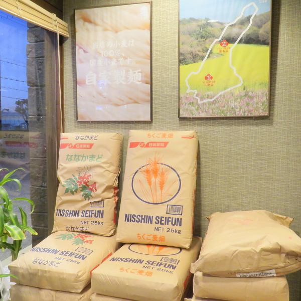 【当店の麺は国産小麦100％うどんは自家製麺です】北海道と九州産の小麦粉をブレンド☆