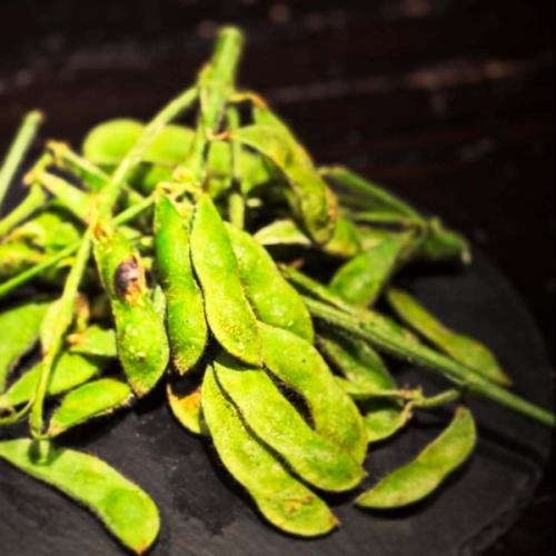 It's getting hot ☀️
We have started selling "Charcoal-grilled soy sauce-grilled edamame"🫛

#barjayco #Shinjuku bar #Shinjuku bar #Shinjuku dining bar #Shinjuku cocktail #vegetable cocktail #Shinjuku dinner #Shinjuku gourmet #Shinjuku vegetables #Shinjuku sweets #vegetable dishes