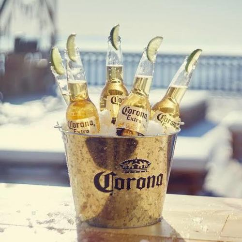 Corona Bucket