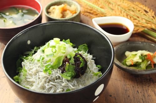 Shirasu and ume nori bowl