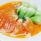 상어 지느러미의 삶은