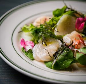 Today's fresh fish and scallop carpaccio