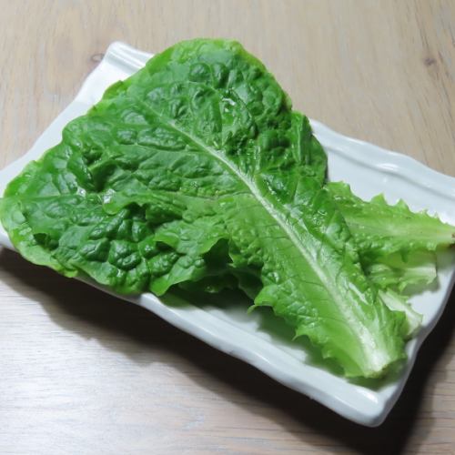 【추가】 불고기의 아군 산츄!