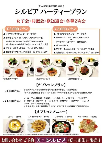 Silvia Party Plan