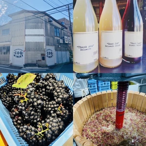 【ワインをもっと気軽に…】店主の想いが詰まった自家製ワイン