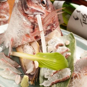 For welcome parties and farewell parties!! [Live cherry blossom sea bream from Ehime] banquet course!! The main dish is grilled cherry blossom sea bream with kabuto