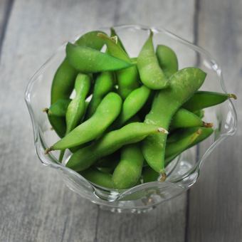 Tea beans with branches