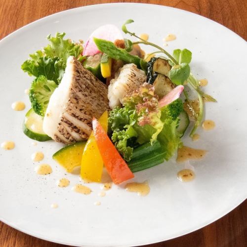 Grilled red sea bream and conger organically grown salad