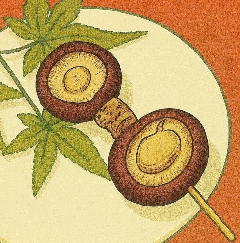 Shiitake