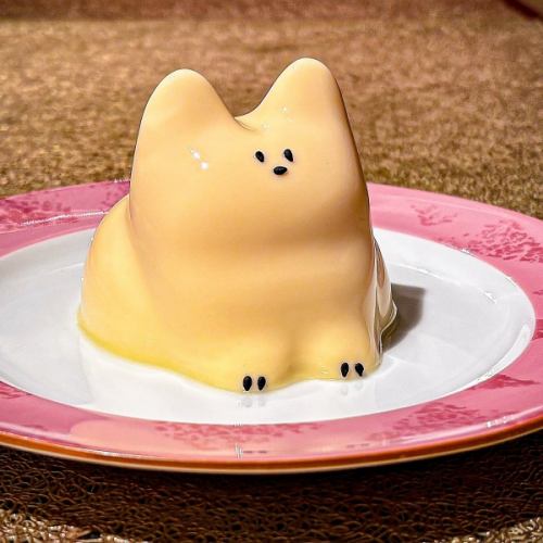 Introducing the new jiggly "cat pudding"