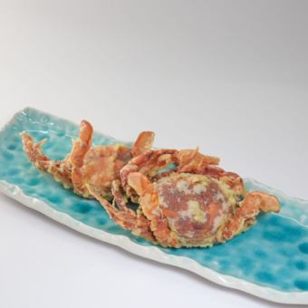 ソフトシェルクラブ