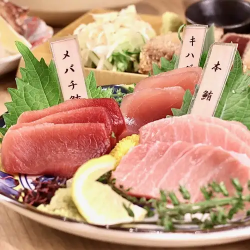 完全個室でマグロ料理を堪能