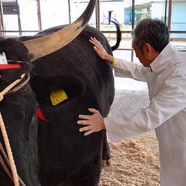 お肉の仕入れは独自ルート