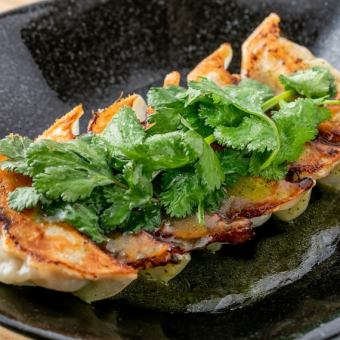 coriander gyoza