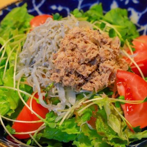 Crispy jaco salad