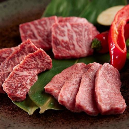 Yakiniku introductory course with all-you-can-drink