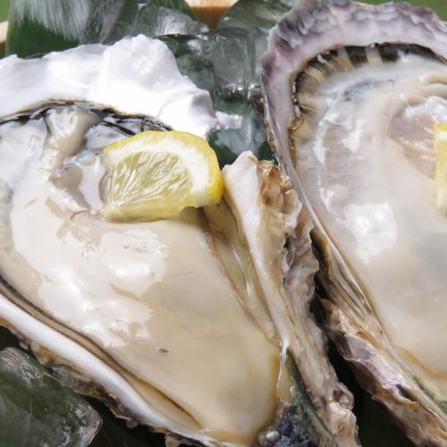 Hamayaki Taro's <<oysters>> are great deals☆