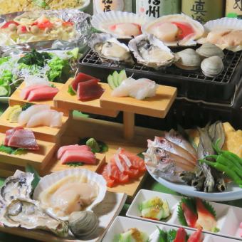 春季盛開套餐，含鮪魚生魚片3種、11道菜品、2.5小時無限暢飲◎6,000日圓→5,000日圓（含稅）套餐