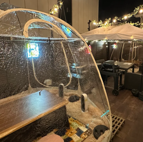 夜は幻想的テントに...♪