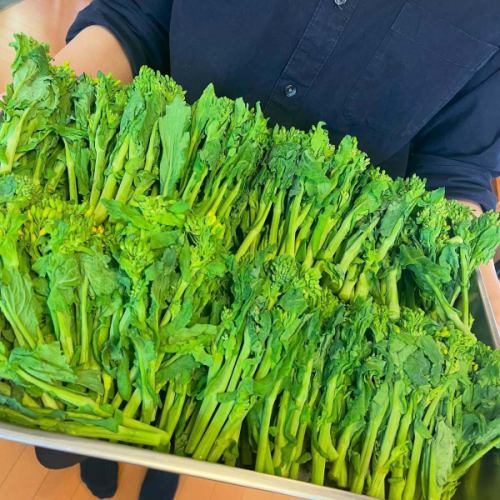 A huge amount of spring has arrived from my hometown Miyazaki ☘️
The rape blossoms of Saito City, Miyazaki Prefecture are exceptionally delicious!
For now, it's pasta

—————————————————————————⁡
An Italian restaurant renovated from a house
arte Tomoaki
lunch ▷ 11:30-14:30
dinner ▷ 17:30-22:30
Closed ▷ Tuesdays and Wednesdays ⁡ ————————————————————
#Dinner #Lunch #Hino #Italian #Rape blossoms