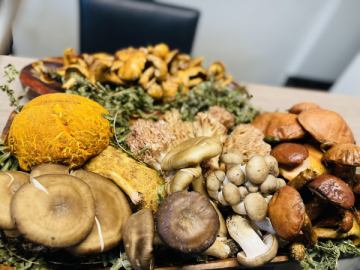 【天然茸入荷🍄🍄‍🟫】