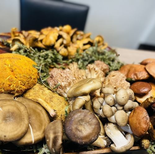 天然素材を現地から