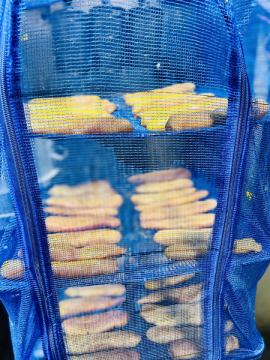 【31日まで休まず営業】