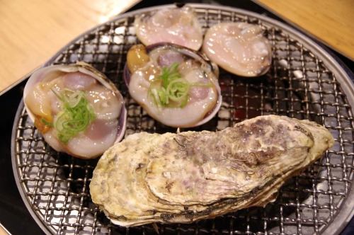 ◇Shellfish