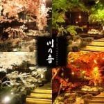 お昼限定!5名様~ご対応!【昼宴会コース】1.5Hノンアル飲放込みで4500円→3500円♪♪