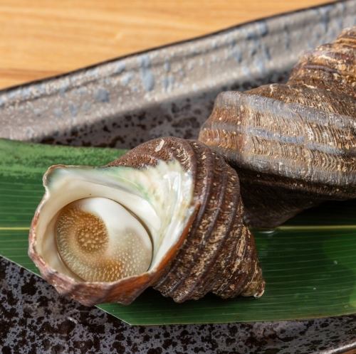 サザエの壺焼き 1ヶ