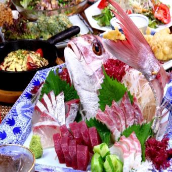 [Weekdays only] Draft beer is also OK!! Fresh sashimi, etc... 7-course 4,000 yen course with all-you-can-drink for 120 minutes