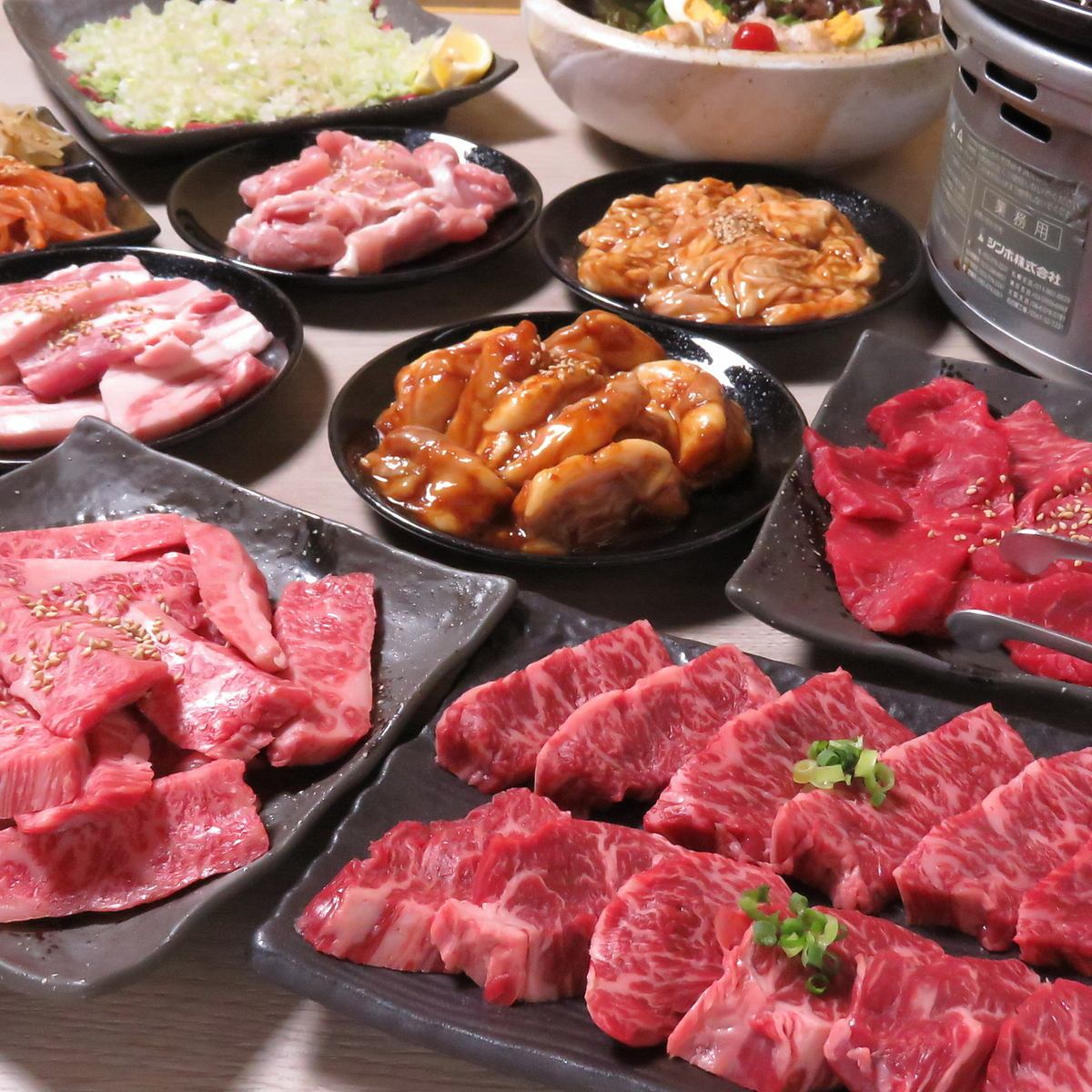 全11品3300円税込 自慢のネギ塩タンやブランド桜姫鶏モモコース