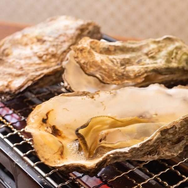 [Irresistible for seafood lovers! Steamed oysters & grilled oysters]