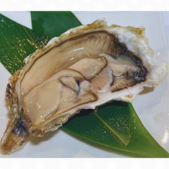 北海道産牡蠣