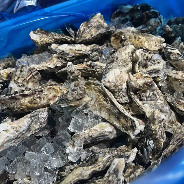 【海鮮好きにはたまらない！豆牡蠣のガンガン焼き】
