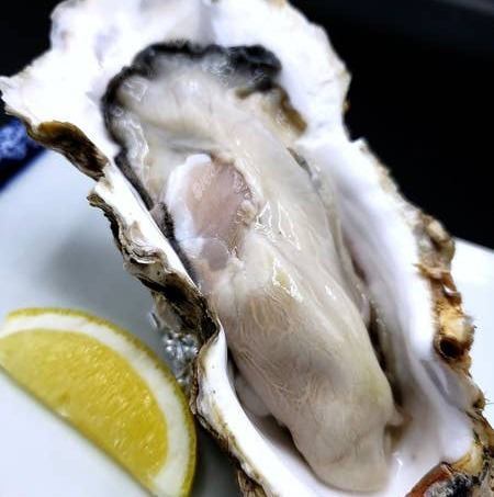 毎日仕入れる新鮮な魚介